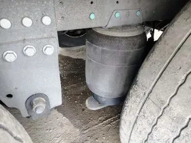 SCHMITZ STANDART / 2021 / 255 000 km  (17)