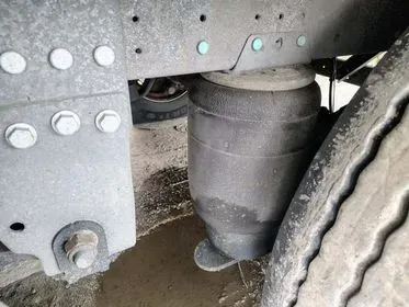 SCHMITZ STANDART / 2021 / 255 000 km  (18)