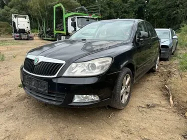 ŠKODA Octavia 1.6 TDI/ 10.12. 2010/ 423.503 km (1)