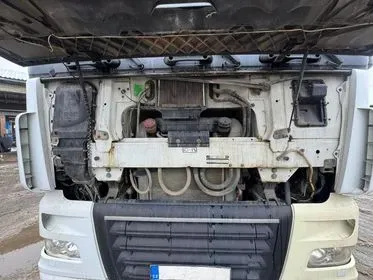 DAF 105.460 T / 2010 / 758 400 km (12)