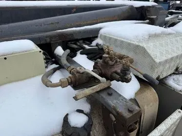 DAF 105.460 T / 2010 / 758 400 km (9)