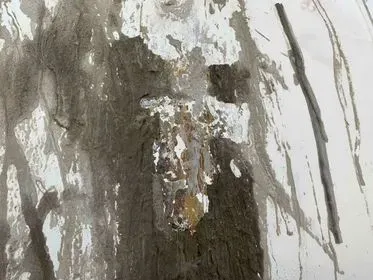 Iveco Trakker Magirus / Stetter/ 2005/ concrete mixer truck  (64)