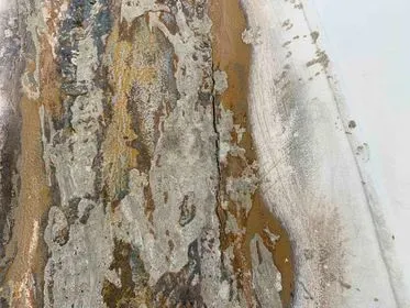 Iveco Trakker Magirus / Stetter/ 2005/ concrete mixer truck  (75)