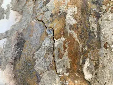 Iveco Trakker Magirus / Stetter/ 2005/ concrete mixer truck  (86)