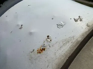 Iveco Trakker Magirus / Stetter/ 2005/ concrete mixer truck  (92)