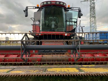 CASE AFX 8010 Combine Harvester / 2005  (16)