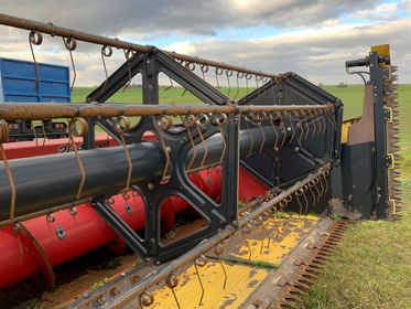 CASE AFX 8010 Combine Harvester / 2005  (18)