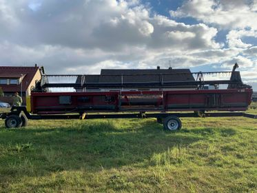 CASE AFX 8010 Combine Harvester / 2005  (22)