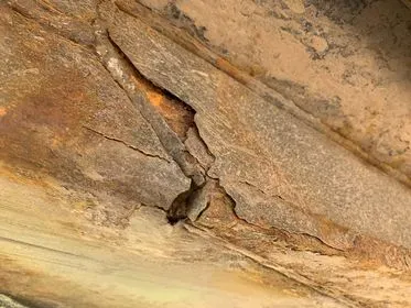 Krone SD /2011/ curtain side semi trailer (50)