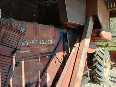 MASSEY FERGUSON (4)