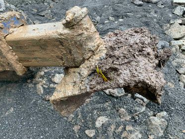 Kaiser S 2-4/ 2006  (49)