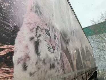 KRONE SD / 2012 (10)