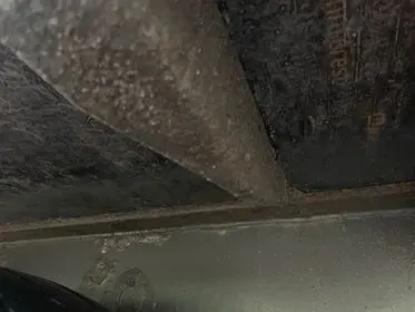 Krone SD ELG3 - CS/ 2011 (32)