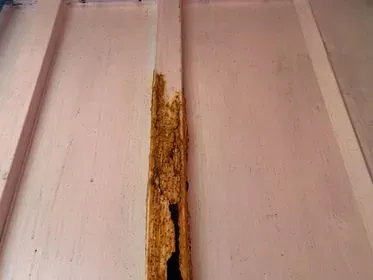 Krone SD ELG3 - CS/ 2011 (54)