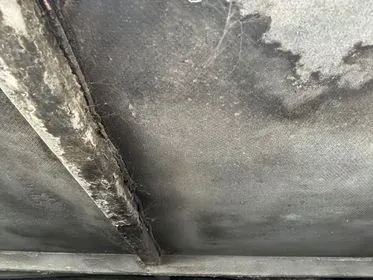 NEOPLAN N516 / 2003 (29)