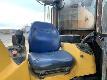 Vermeer 75x 100 / 2008  (17)