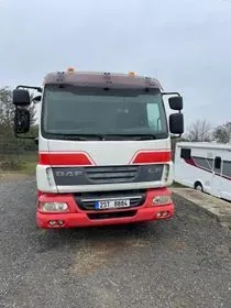 DAF FL 45.220 / 2007 / 260 000 km (2)