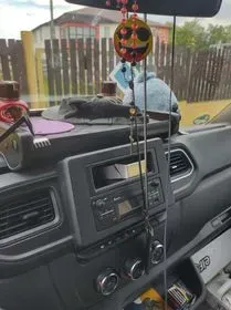 Opel Movano / 2021 / 292 980 km (11)