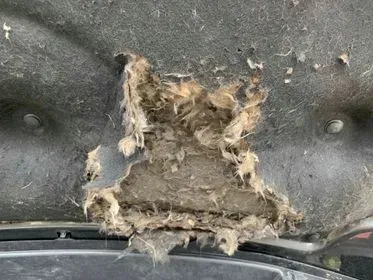 Mercedes Benz ML 350 CDI 4 MATIC/ 2009/ 257 953 km  (150)