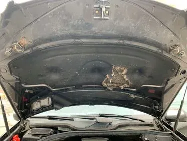 Mercedes Benz ML 350 CDI 4 MATIC/ 2009/ 257 953 km  (151)