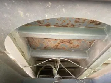 IVECO TRAKKER 310 / 2009 / 208 000 km (15)