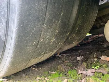 LOHR Eurolohr 151/ 2012/ car transporter  (66)