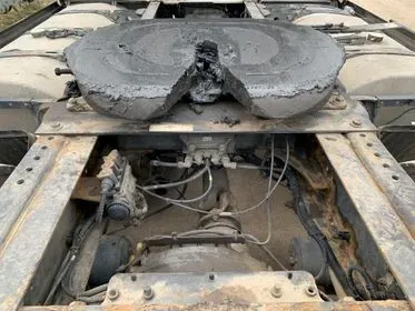 Renault Magnum DXI 500.19 T 4x2 / 2008/ EURO 5/ 1393000 km  (19)