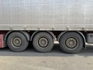 SCHWARZMULLER / 2017 (5)