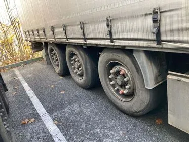 KRONE PROFI LINER / 2015 (18)