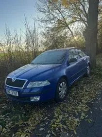 ŠKODA OCTAVIA II / 2004 / 300 000 km (1)