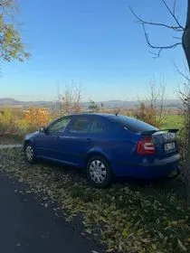 ŠKODA OCTAVIA II / 2004 / 300 000 km (4)
