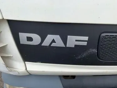 DAF LF 45.170/ 2004/ EURO 3/ 355000km / Container carrier (12)