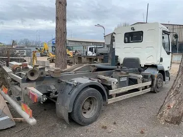 DAF LF 45.170/ 2004/ EURO 3/ 355000km / Container carrier (4)