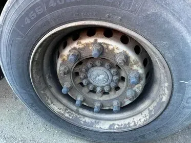 Schmitz Cargobull (4)