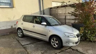 Škoda Fabia / 2011 / 259 500 (2)