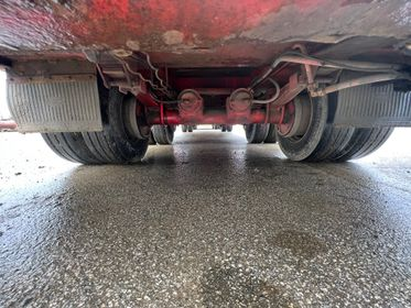 MÜLLER MITTELTAL T3 (29)