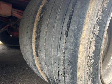 MÜLLER MITTELTAL T3 (23)