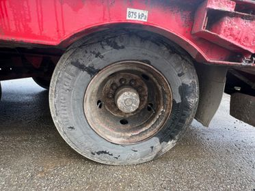 MÜLLER MITTELTAL T3 (9)