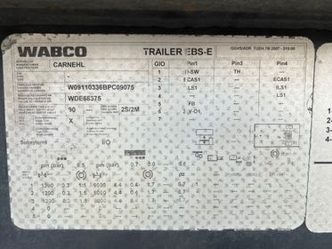 CARNEHL CHKS / A (19)