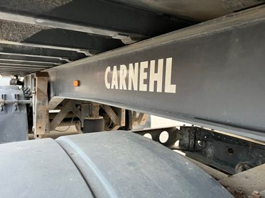 CARNEHL CHKS / A (20)