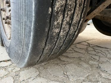 CARNEHL CHKS / A (21)