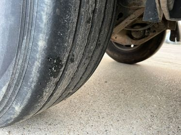 CARNEHL CHKS / A (23)