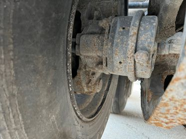 CARNEHL CHKS / A (9)