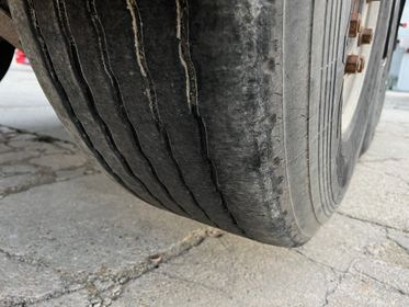 CARNEHL CHKS / A (10)