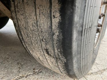 CARNEHL CHKS / A (11)