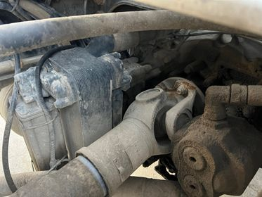 CARNEHL CHKS / A (16)