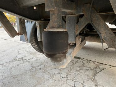 CARNEHL CHKS / A (32)