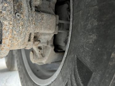 CARNEHL CHKS / A (33)