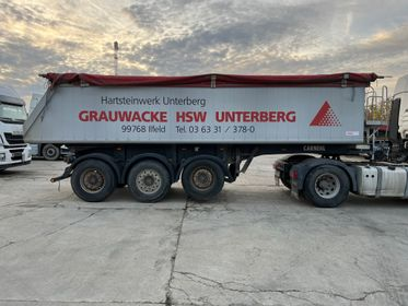 CARNEHL CHKS / A (3)