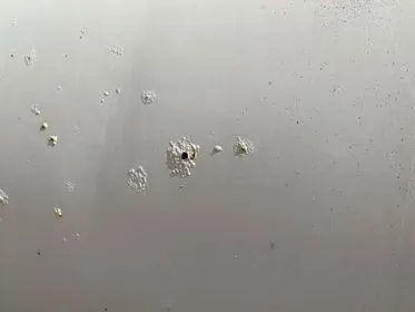 IVECO TRAKKER  MP340 E 8x4/ 2000/ concrete mixer truck  (39)